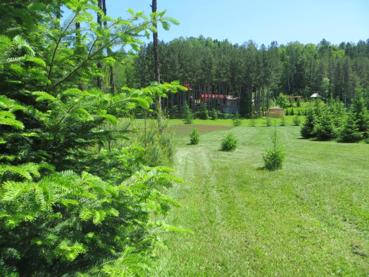 La Maison Sous Les Arbres Saint Roch de Mekinac Zewnętrze zdjęcie